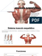 Sistema Musculo Esquelético