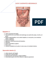 Nueve Cuadrantes Abdominales