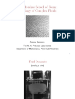 Les Houches School of Foam: Rheology of Complex Fluids