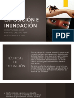 Exposición e Inundación