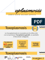 Toxoplasmosis en La Gestación