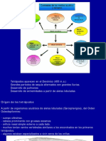 5-Teorico Anfibios