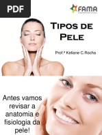 1 Tipos de Pele Aula 1