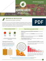 Agronegócio Fruticultura PDF