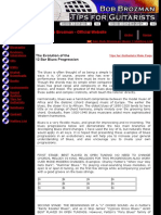 Bob Brozman: The Evolution of The 12 Bar Blues Progression
