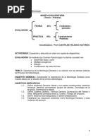 Morfología Dentaria 3101