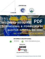 VIII Seguridad Industrial y Salud Ocupacional Formacion de Auditor Interno 15 09 2018 PDF