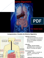 Sistema Digestório 1 - Cavidade Bucal e Esôfago