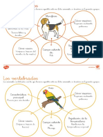 Caracteristicas de Los Animales Vertebrados Hoja Informativa