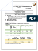 Informe 6 Lechos Porosos