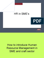 HR in SME S