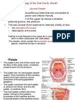 Anatomy Histology of The Oral Cavity2 3