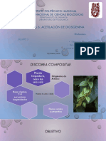 Acetilacion de Diosgenina