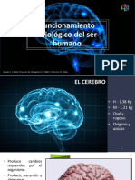 Funcionamiento Fisiologico Del Ser Humano