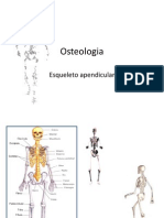 Osteologia-Esqueleto Apendicular