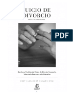 Practica Forense Del Juicio de Divorcio