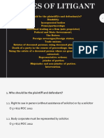 Types of Litigant C4