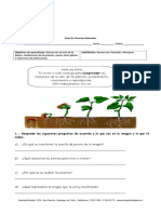 Ciencias Refuerzo Prueba