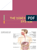 The Digestive System