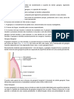 O Periodonto Consiste em Tecidos de Recobrimento e Suporte Do Dente (Salvo Automaticamente)