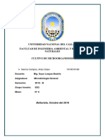 Informe 7-Cultivo de Microorganismos-2016b