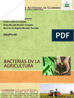 Bacterias en La Agricultura