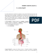 LE SYSTEME DIGESTIF-pentru Studenti Rezolvat Dobrin Cristina