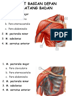 Myology