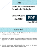 Morphological Characterization of Tef