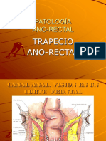 Patologia Rectal y Ano