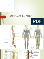 Spinal Anesthesia