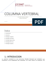 Columna Vertebral