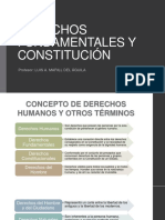 Derechos Fundamentales y Constitución PDF