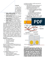 Histologia Tecido Epitelial