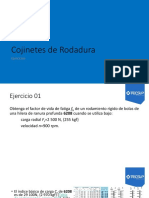 Cojinetes de Rodadura - EJERCICIOS