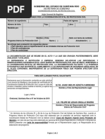 PDF Documento