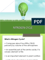 Nitrogen Cycle