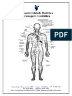 Apostila - Drenagem Linfática