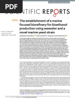 The Establishment of A Marine Focused Biorefinery For Bioethanol Production Using Seawater and A Novel Marine Yeast Strain