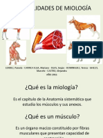 Generalidades de Miología