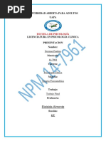 Terapia Psicoanalitica Trabajo Final