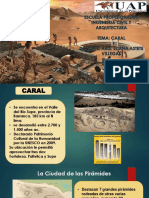 Caral 1