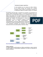 Anatomia de Tallo y Hoja