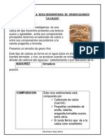 Propiedad de La Roca Sedimentaria de Origen Quimico