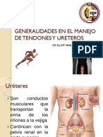 Generalidades en El Manejo de Tendones y Ureteros