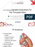 Echocardiography Evaluation For The Tricuspid Valve