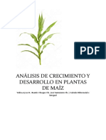 Análisis de Crecimiento y Desarrollo en Plantas de Maíz