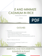 Bit 691 Uptake and Management of Cadmium in Rice