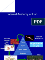 Internal Anatomy of Fish