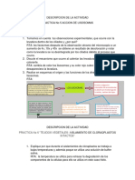 Practica 5 y 6 Biologia Celular y Molecular